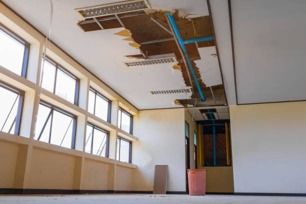 Best Water damage restoration experts  in Brookland, AR