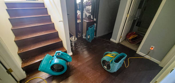 Best Water damage restoration company  in Brookland, AR
