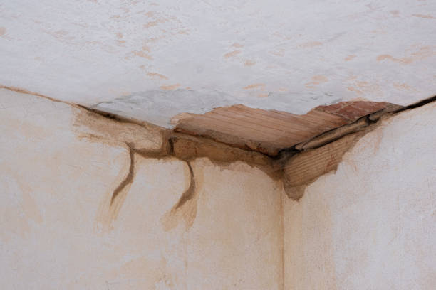Best Water damage cleanup near me  in Brookland, AR