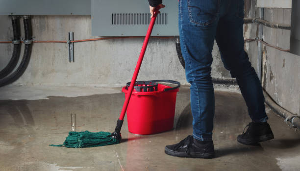 Best Fire Damage Restoration  in Brookland, AR