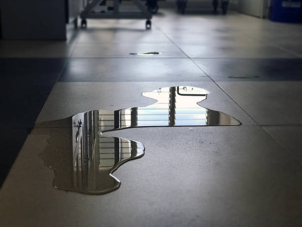Best 24-hour water damage restoration  in Brookland, AR
