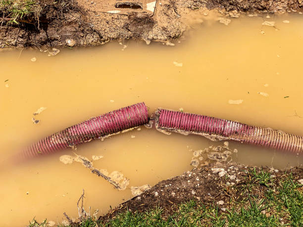 Best Professional water damage repair  in Brookland, AR
