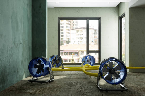 , AR Water damage restoration Company